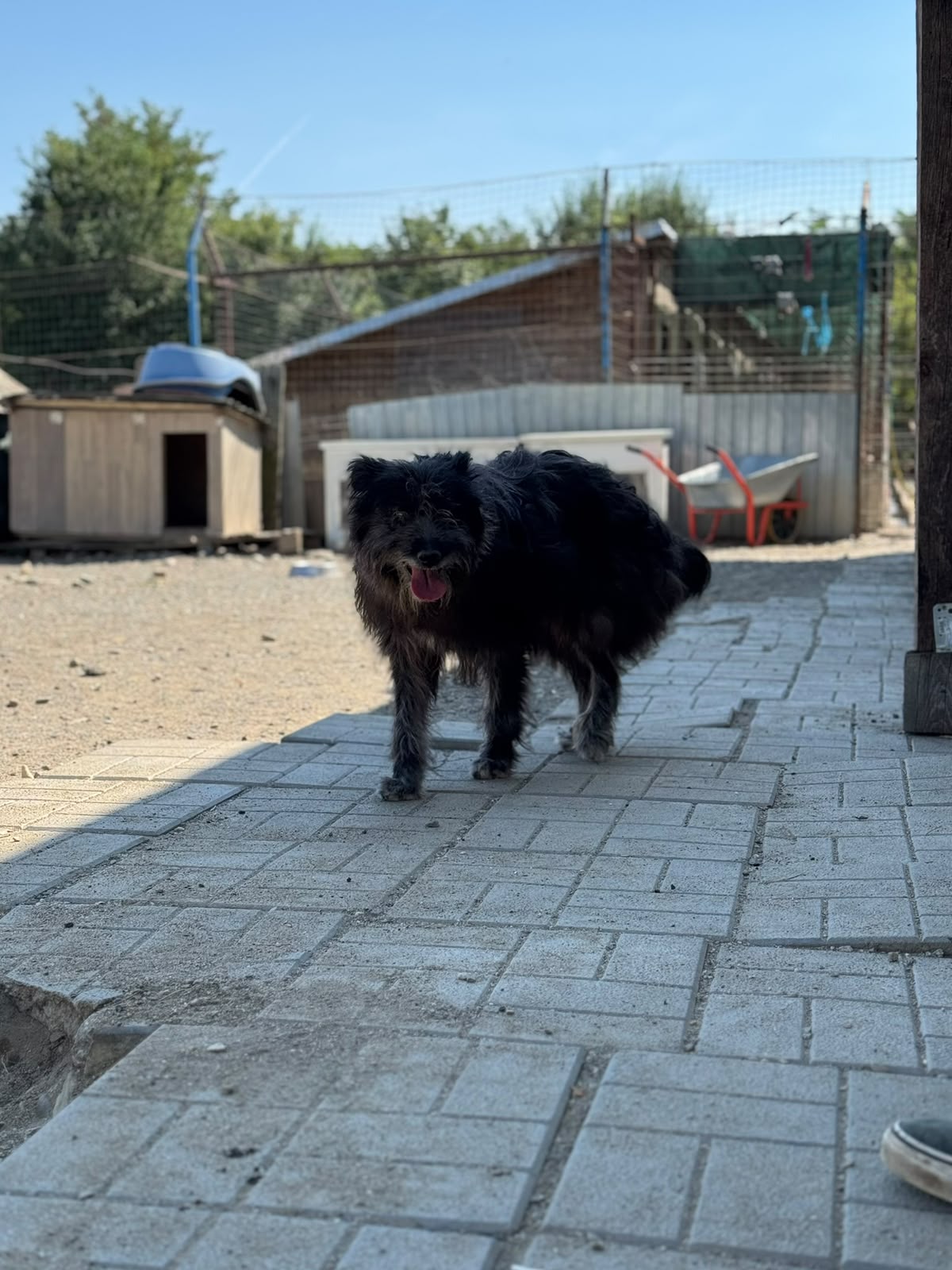 Emmi Foto 2