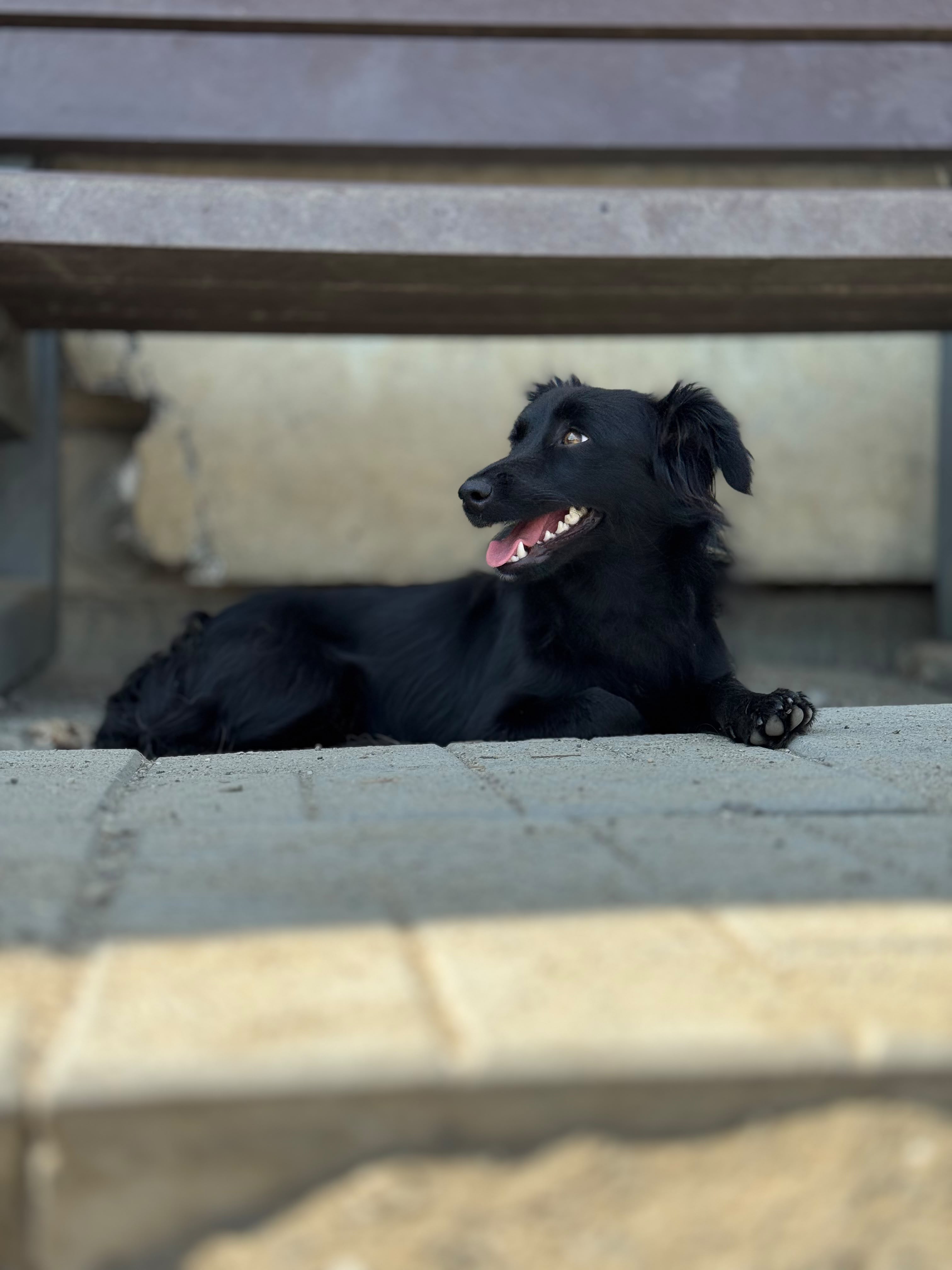 Emma Foto 9