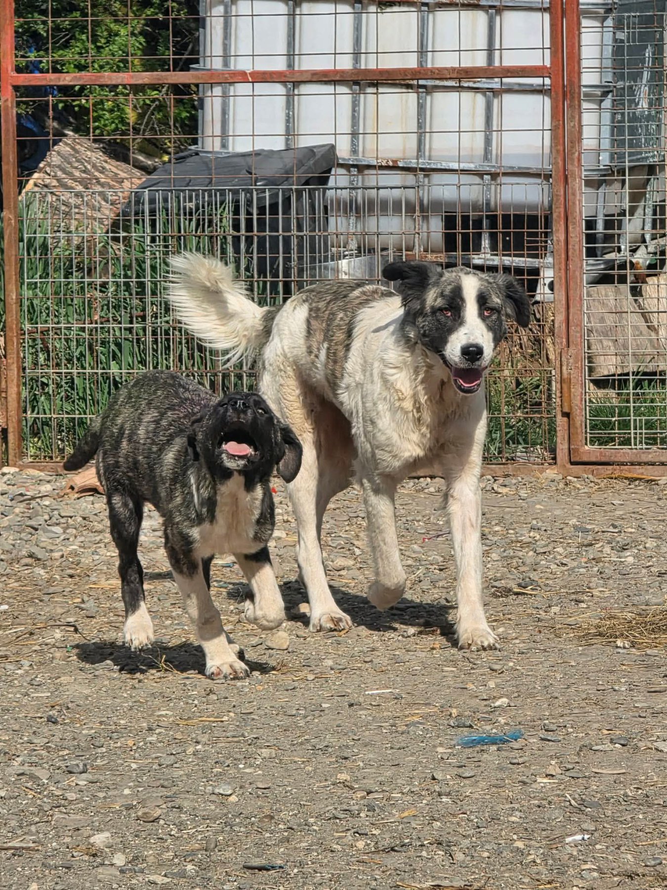 Dakota Foto 14