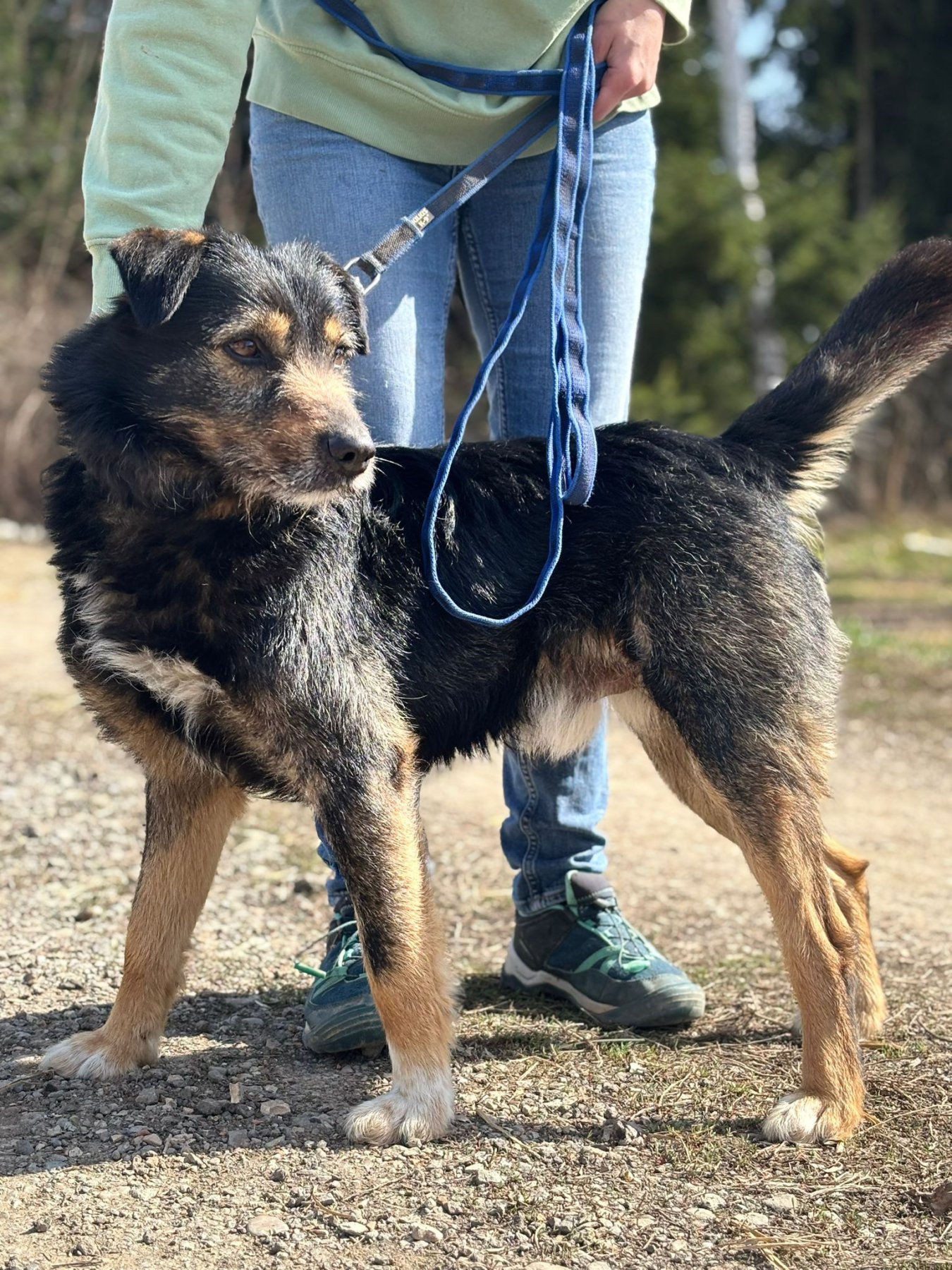 Foxi Foto 10