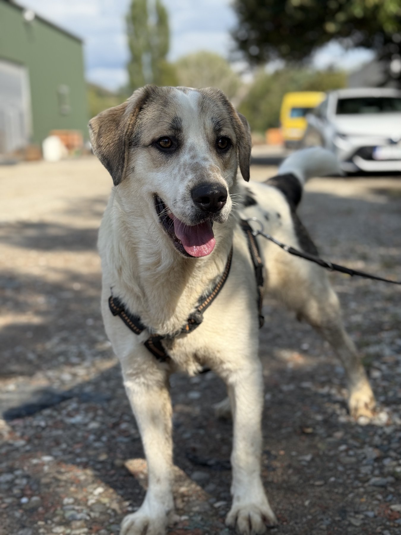 Finn Foto 5