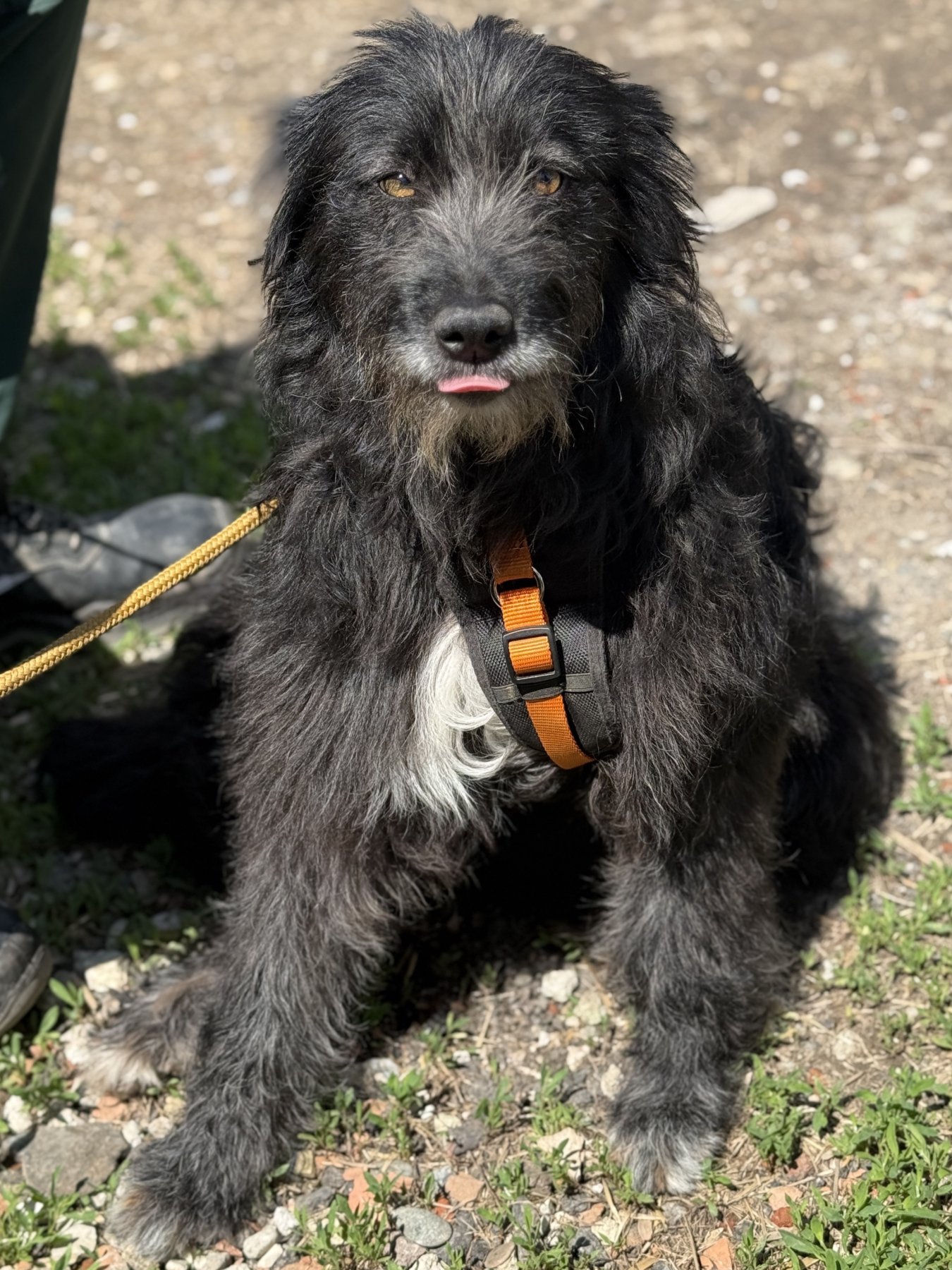 Emmi Foto 4