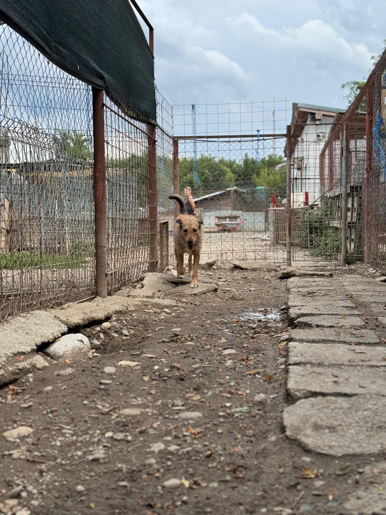 Oscar Foto 10