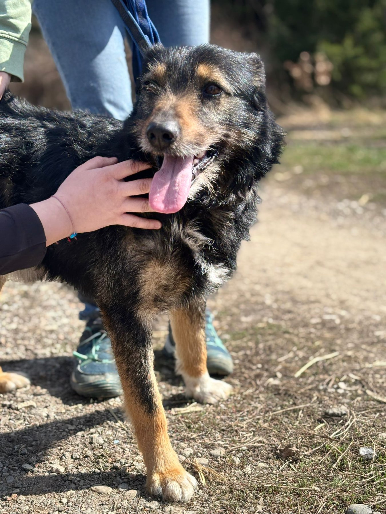 Foxi Foto 7