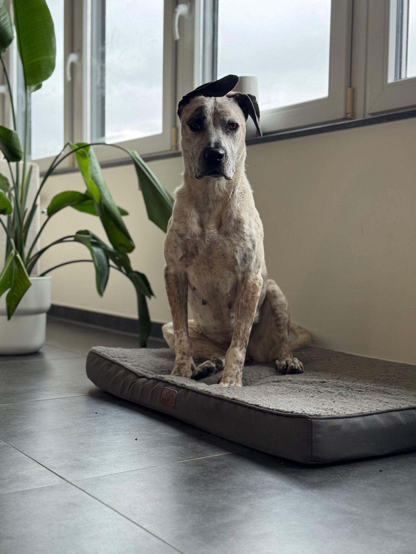 Misty Foto 10