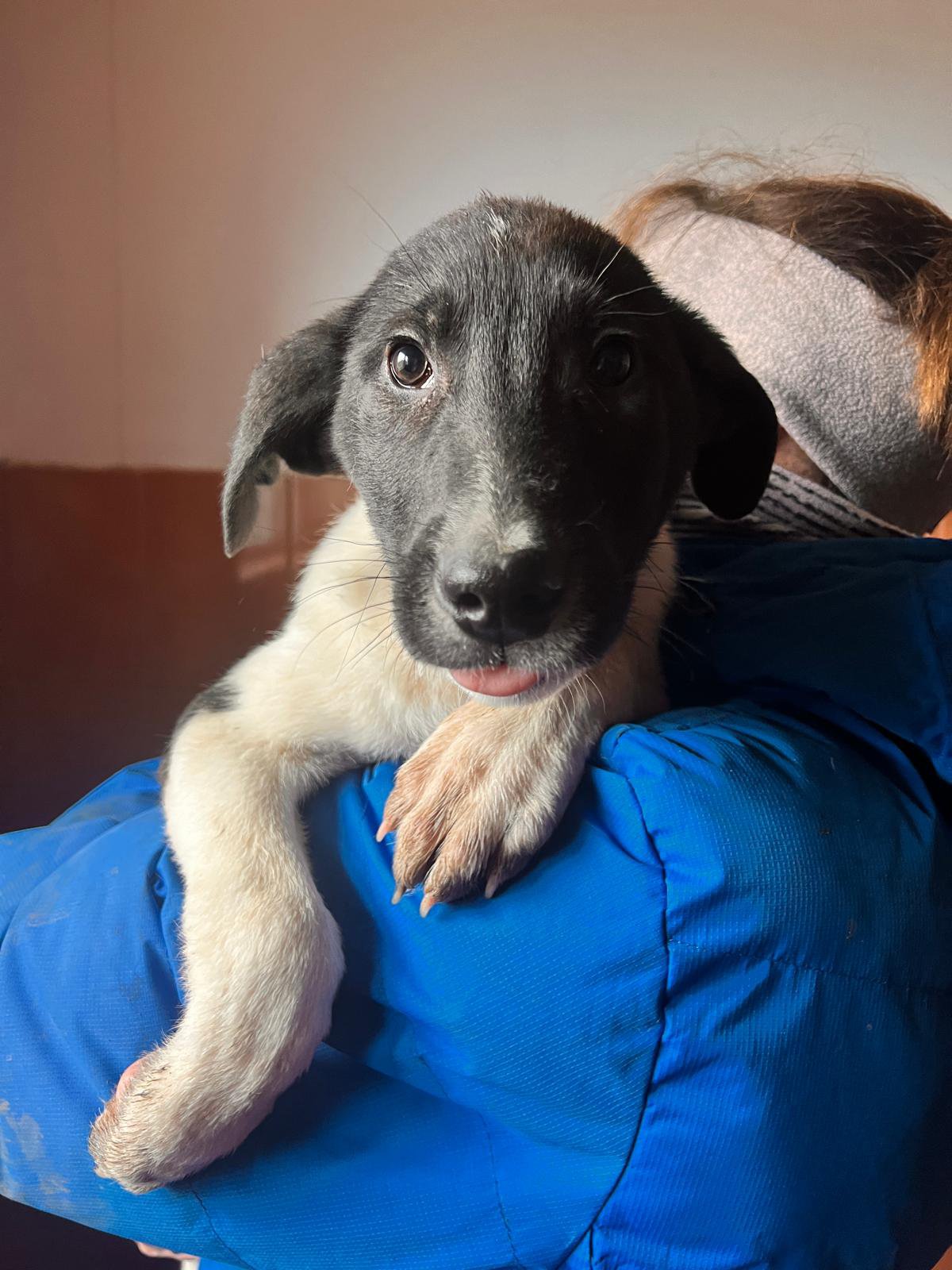 Simon Foto 21