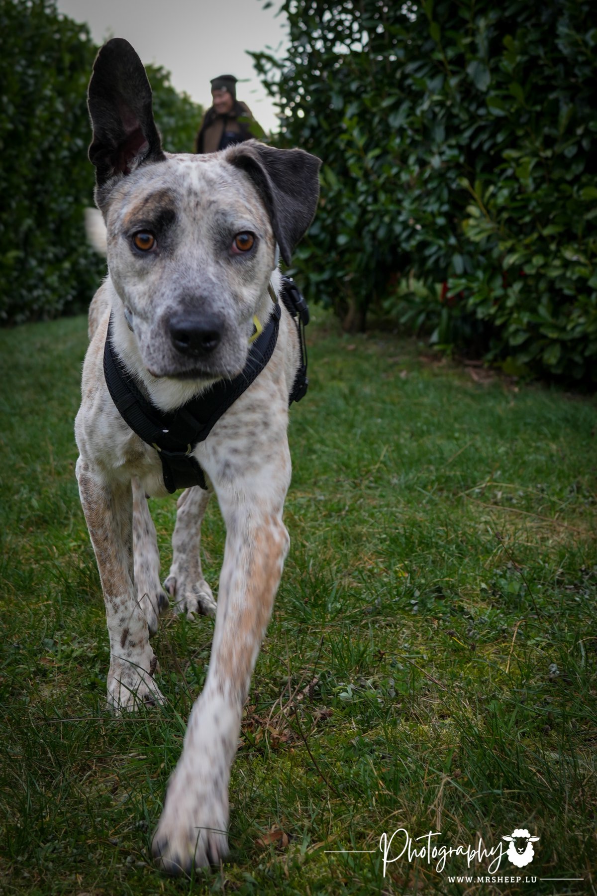 Misty Foto 12