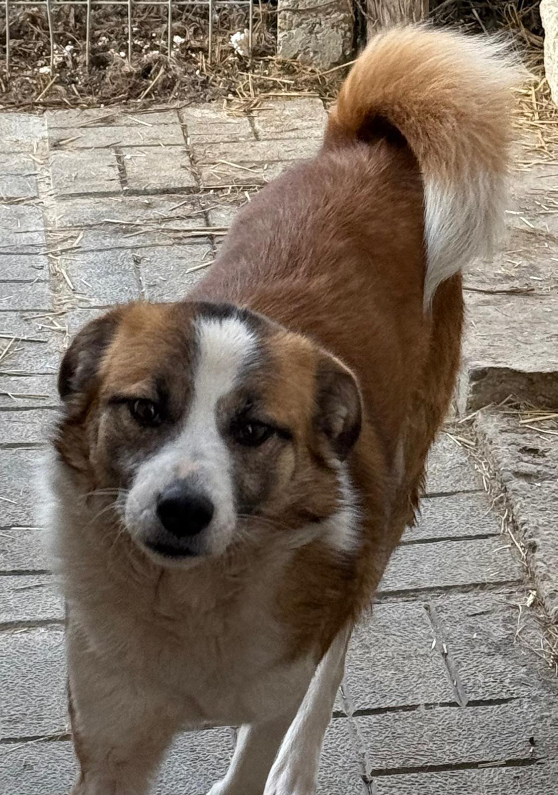 Bilbo Foto 12