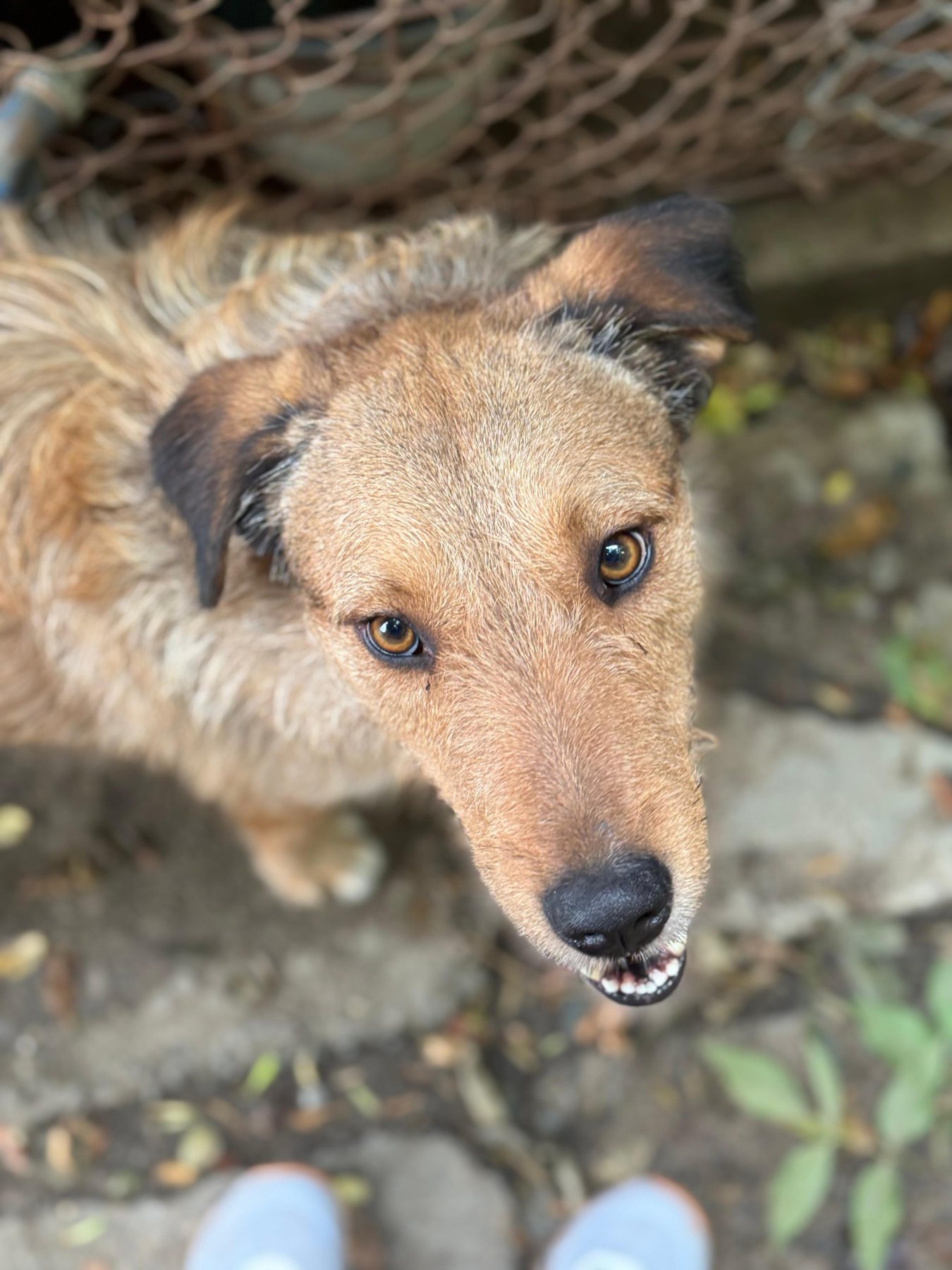 Oscar Foto 11